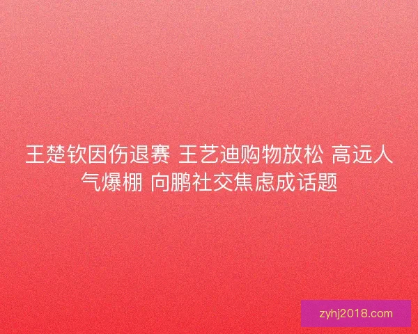王楚钦因伤退赛 王艺迪购物放松 高远人气爆棚 向鹏社交焦虑成话题